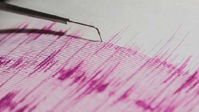 Solid Earthquake shocks New Zealand